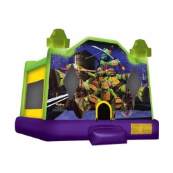 Indoor Bouncy Castle Indoor Bouncy Castle