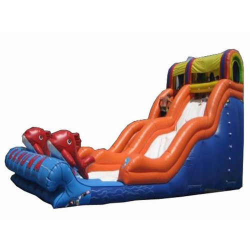 Giant Inflatable Water Slide For Sale, Buy Giant Inflatable Water Slide