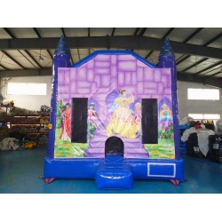 Princess Bouncy Castle Princess Bouncy Castle
